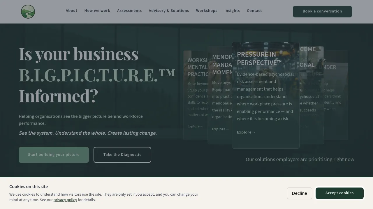 Homepage screenshot of www.bigpicturelab.co.uk