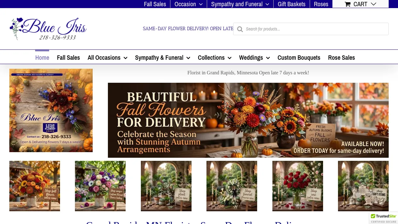 Homepage screenshot of blueirisetc.com