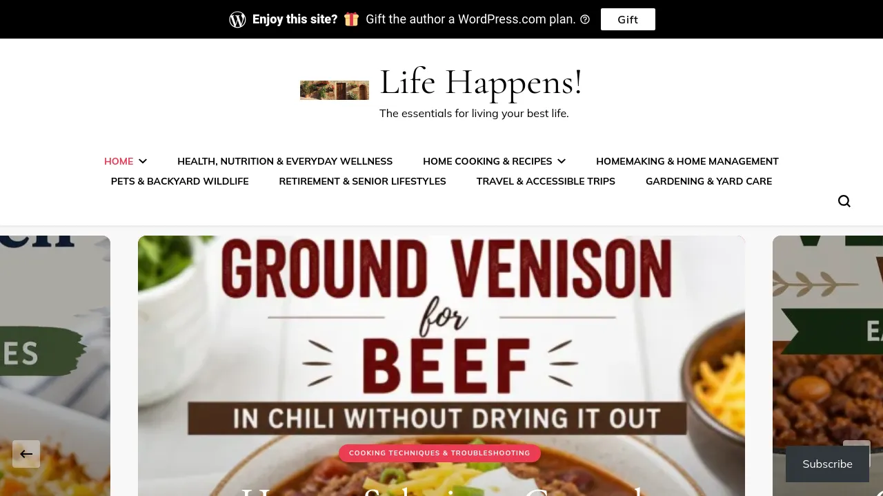 Homepage screenshot of lifeandwork.blog