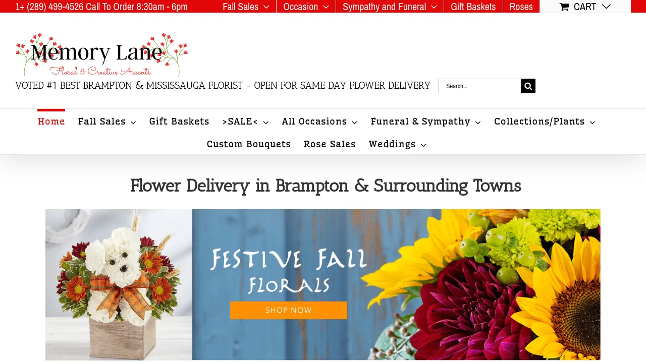 Homepage screenshot of memorylaneflowerson.com