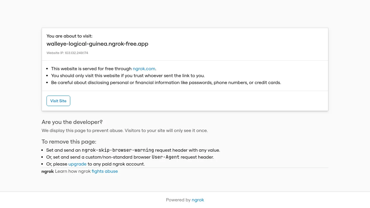 Homepage screenshot of walleye-logical-guinea.ngrok-free.app